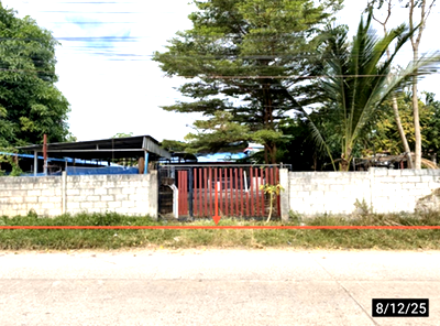 บ้านเดี่ยว โรงเรียนบ้านม่วง ขอนแก่น : บ้านเดี่ยว 100 ตร.วา เมืองขอนแก่น ขอนแก่น 2.4M