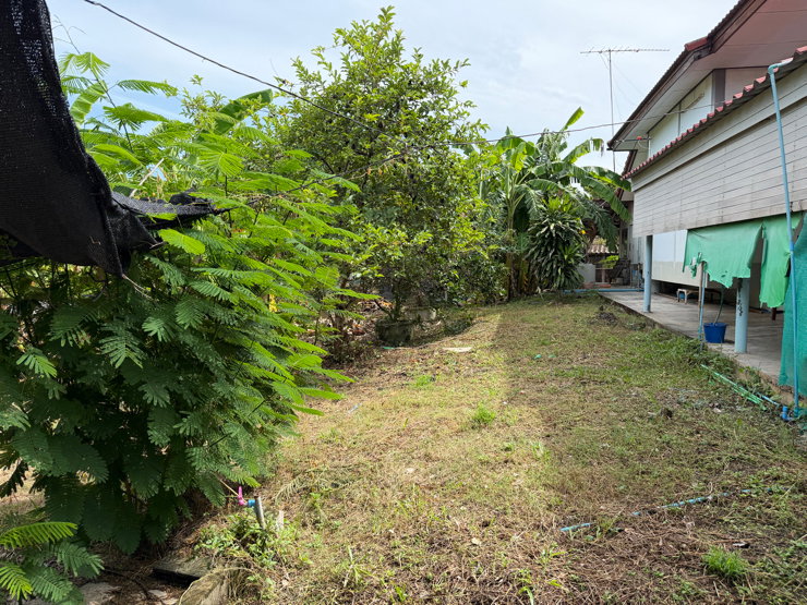 รูป บ้านสวน 4 ห้องนอน 2 ห้องน้ำ พร้อมอาคาร 2 หลัง บนที่ดิน 1 ไร่ 46 ตร.ว. ร่มรื่น ติดถนน 2 ด้าน ใกล้ M81 ราคา 3.9 ล้านบาท เจ้าของขายเอง - รูปที่ 17/31