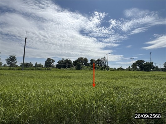 picture LAND 5048 Sq.w. Trakan Phutphon Ubon Ratchathani for 3.7M - 8/21