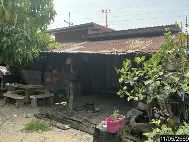 รูป บ้านเดี่ยว 48 ตร.วา พิมาย นครราชสีมา 1.1M - รูปที่ 4/19