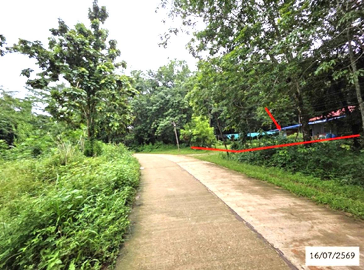 รูป บ้านเดี่ยว 592 ตร.วา โพนสวรรค์ นครพนม 2.4M - รูปที่ 11/15