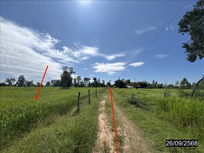 picture LAND 5048 Sq.w. Trakan Phutphon Ubon Ratchathani for 3.7M - 9/21