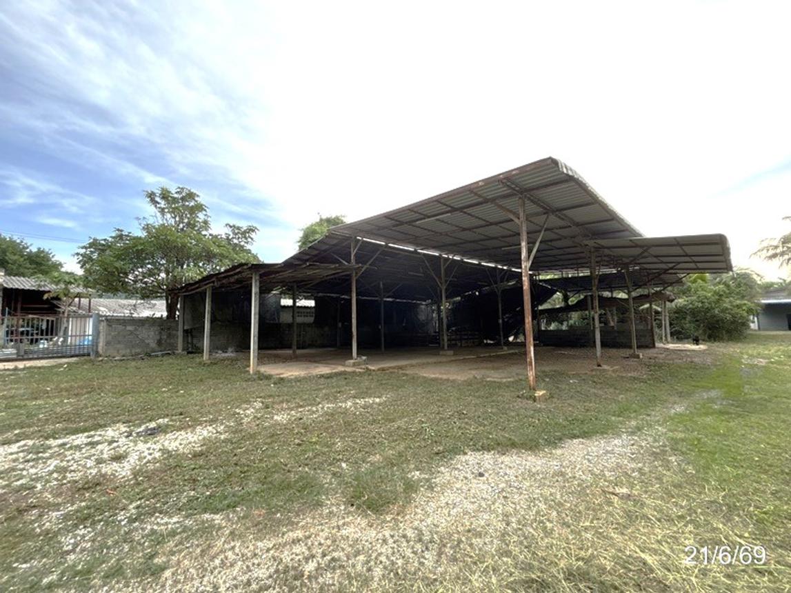 รูป อาคารพาณิชย์ 2340 ตร.วา ปากช่อง นครราชสีมา 16M - รูปที่ 50/63