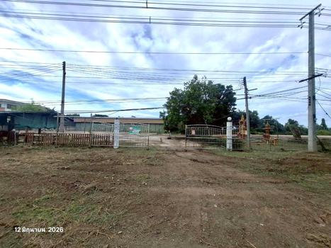รูป โรงสี 9661.2 ตร.วา โพทะเล พิจิตร 40.1M - รูปที่ 68/71