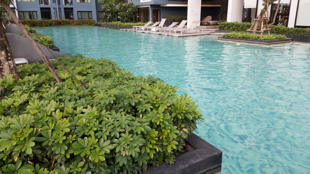 รูป For Sale The Base Ramkhamhaeng Condo Studio room 28st. Floor 0869888099 Line ID: dhiradhn - รูปที่ 14/15