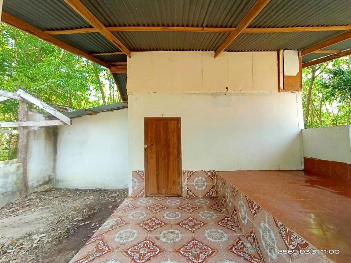 รูป บ้านเดี่ยว 1207 ตร.วา นามน กาฬสินธุ์ 2.4M - รูปที่ 18/31