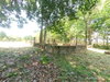 listing thumbnail image 12