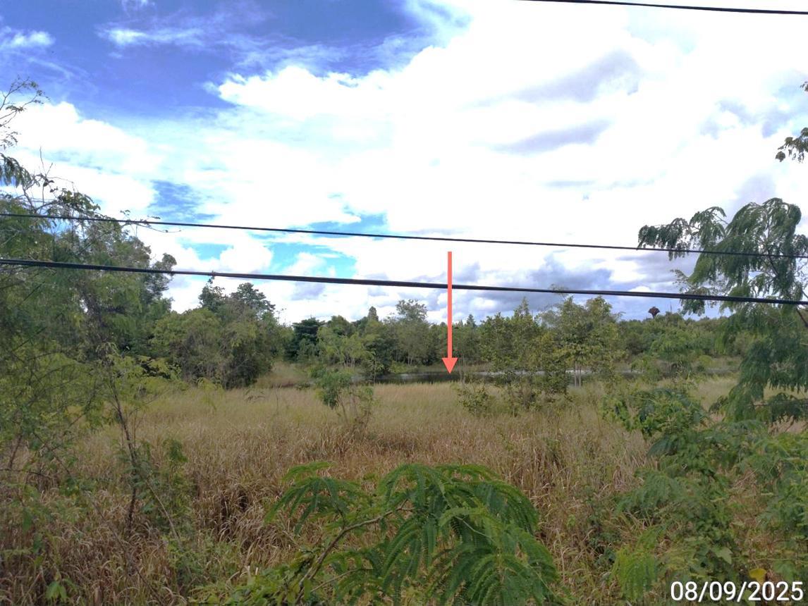 picture LAND 11758 Sq.w. Aranyaprathet Srakaeo for 74.1M - 16/21