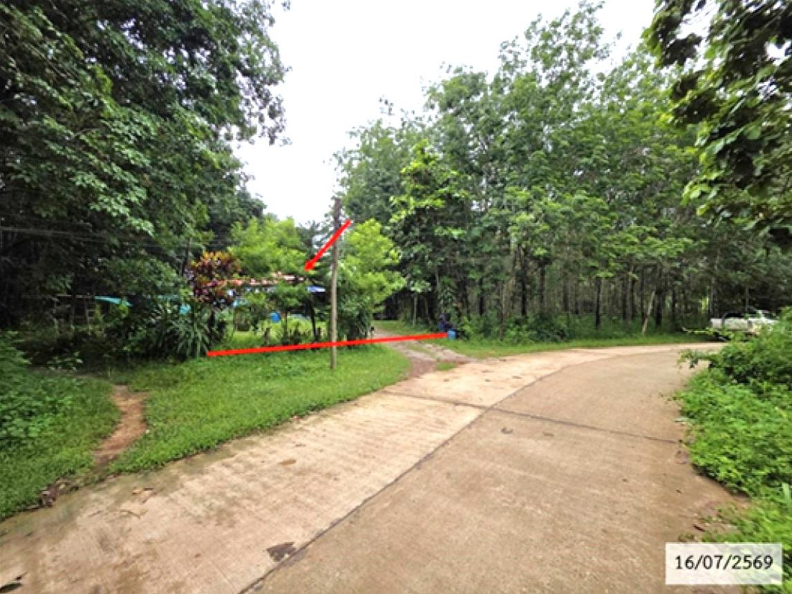 รูป บ้านเดี่ยว 592 ตร.วา โพนสวรรค์ นครพนม 2.4M - รูปที่ 10/15
