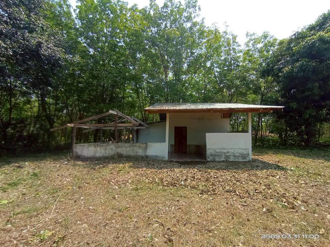 รูป บ้านเดี่ยว 1207 ตร.วา นามน กาฬสินธุ์ 2.4M - รูปที่ 17/31