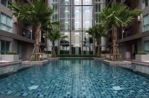 picture Code: 26KJ4255  for rent A Space Asoke - Ratchada (2B2B) 🔥🔥 Line ID: @kjcondo (with @)🔥🔥 - 11/13