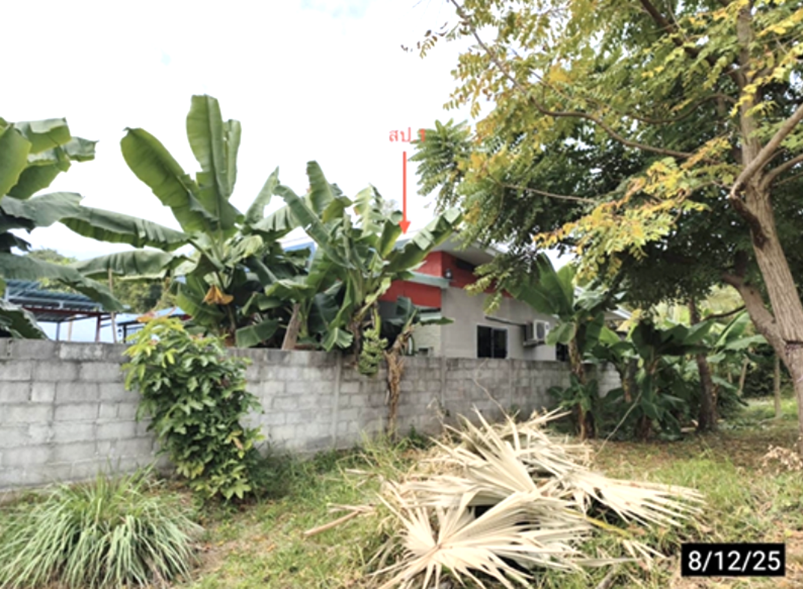รูป บ้านเดี่ยว 100 ตร.วา เมืองขอนแก่น ขอนแก่น 2.4M - รูปที่ 9/17