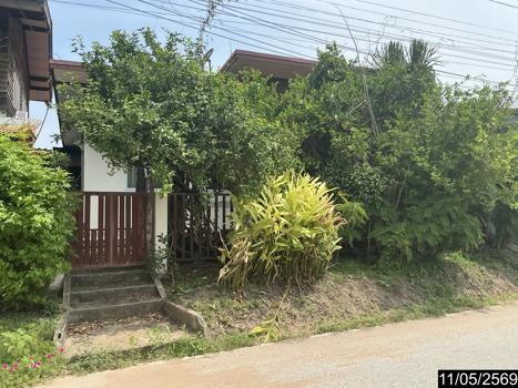 รูป บ้านเดี่ยว 48 ตร.วา พิมาย นครราชสีมา 1.1M - รูปที่ 16/19