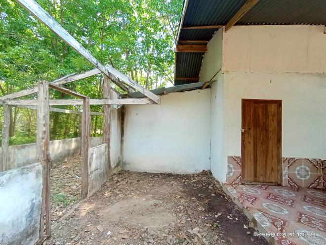 รูป บ้านเดี่ยว 1207 ตร.วา นามน กาฬสินธุ์ 2.4M - รูปที่ 7/31