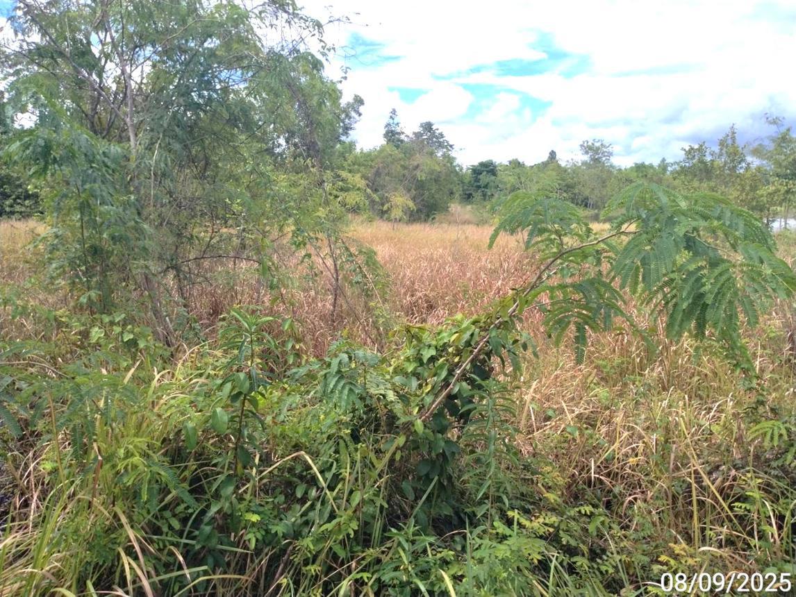 picture LAND 11758 Sq.w. Aranyaprathet Srakaeo for 74.1M - 13/21