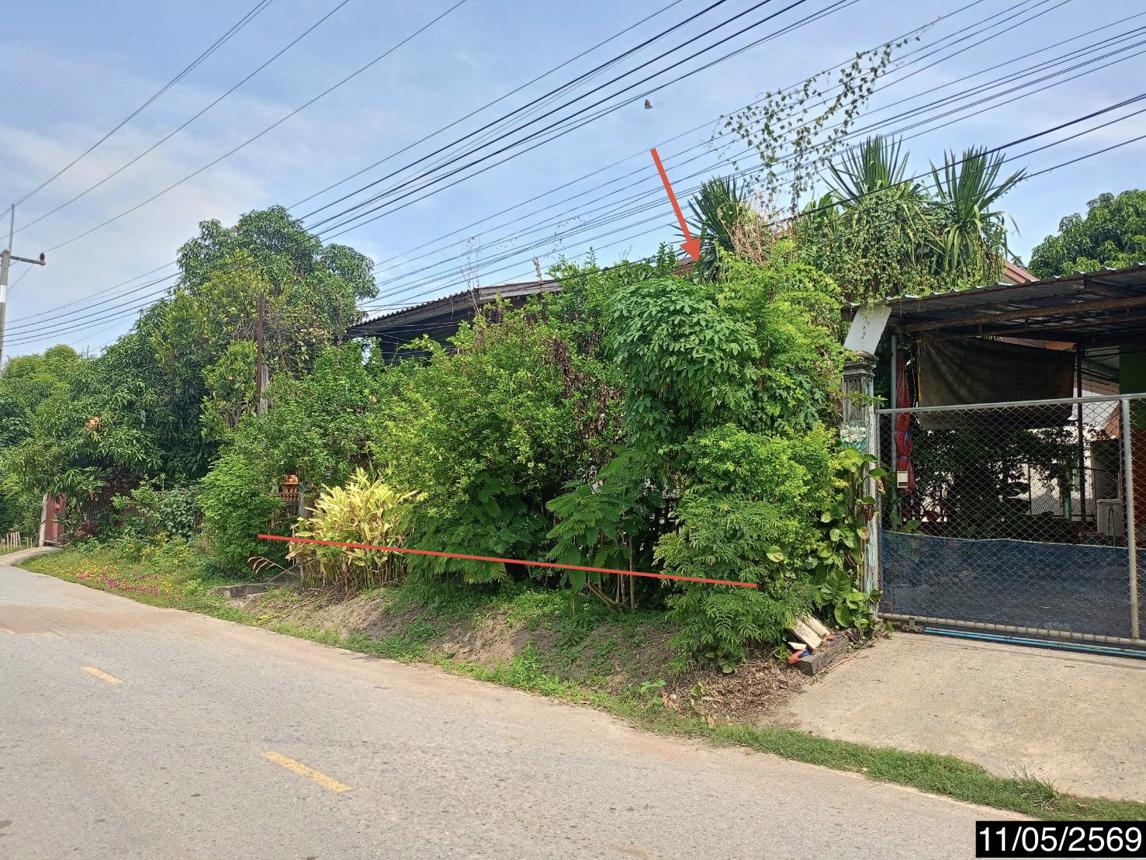 รูป บ้านเดี่ยว 48 ตร.วา พิมาย นครราชสีมา 1.1M - รูปที่ 13/19