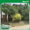 listing thumbnail image 16