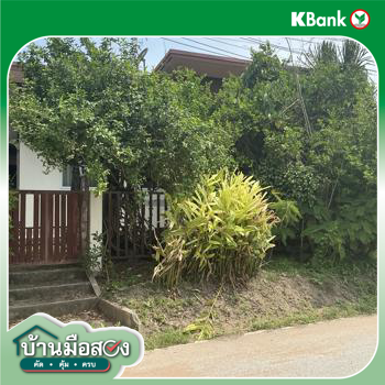 รูป บ้านเดี่ยว 48 ตร.วา พิมาย นครราชสีมา 1.1M - รูปที่ 17/19
