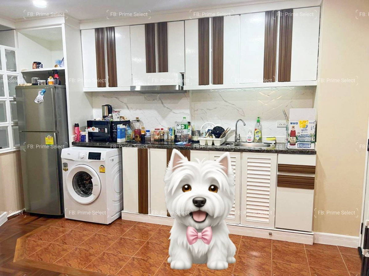 picture Big Pet-Friendly Condo for Rent BTS Phrom Phong/BTS Thonglor/Rooftop grass zone for pooping/Balcony/Near Maestro 39 - 4/9
