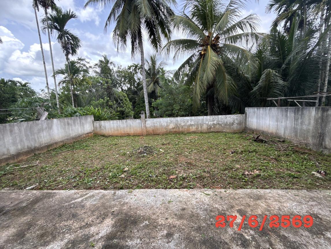 รูป อาคารพาณิชย์ 67 ตร.วา บางขัน นครศรีธรรมราช 4.9M - รูปที่ 25/29