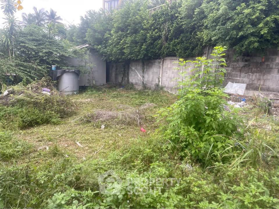 picture Land For Rent At Maenam Beach, Koh Samui (ID 3121278) - 7/10
