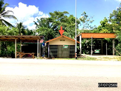 บ้านเดี่ยว ชุมพร : บ้านเดี่ยว 49 ตร.วา ปะทิว ชุมพร 1.6M