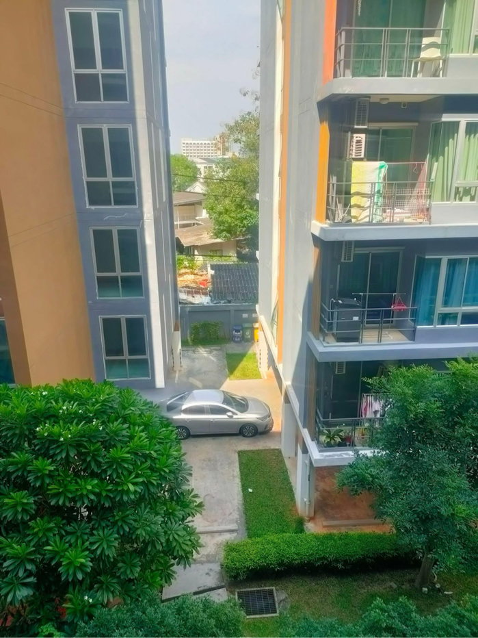 picture Rent-Sell Plus Condo Suratthani - 12/15