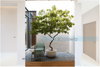 listing thumbnail image 23