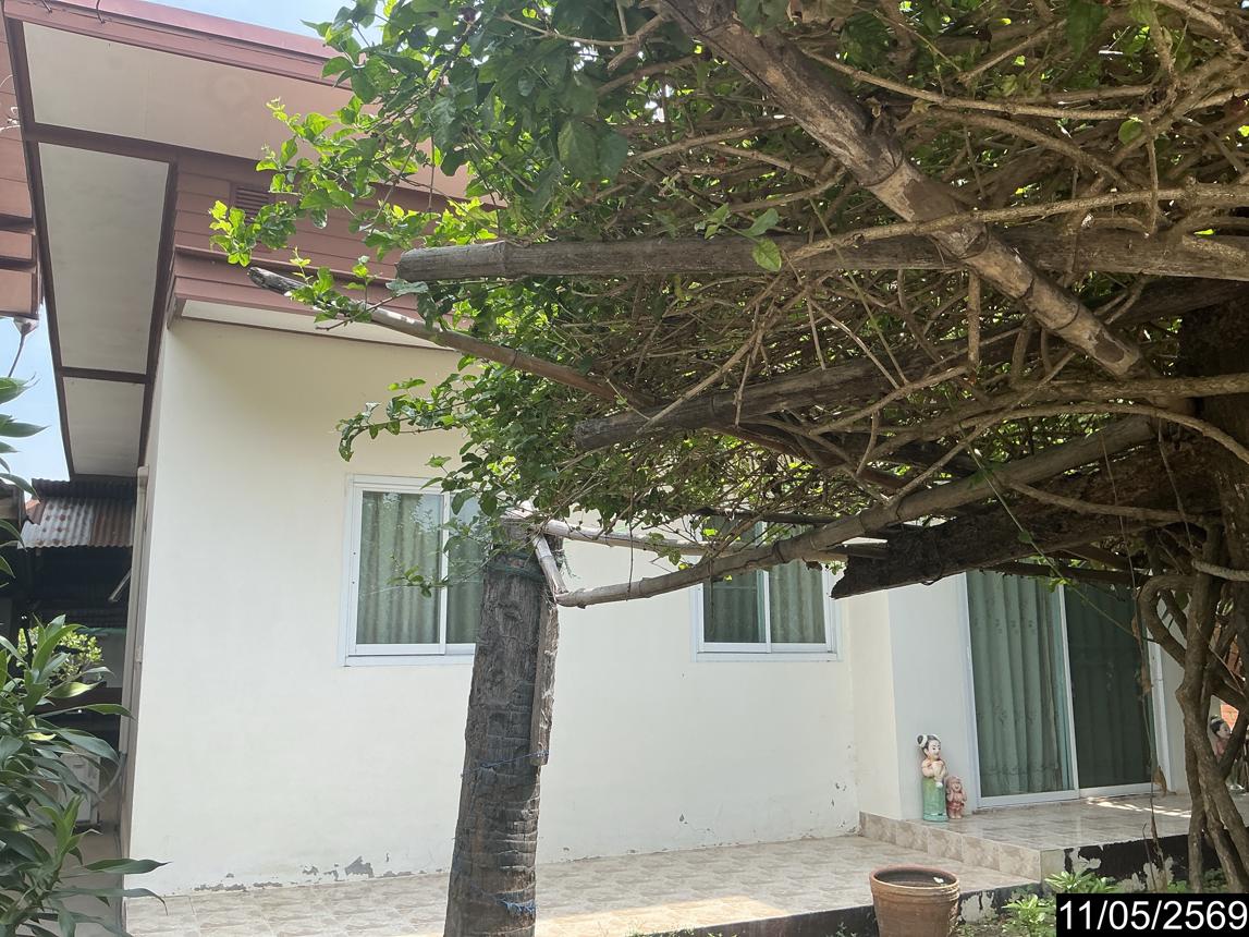 รูป บ้านเดี่ยว 48 ตร.วา พิมาย นครราชสีมา 1.1M - รูปที่ 10/19