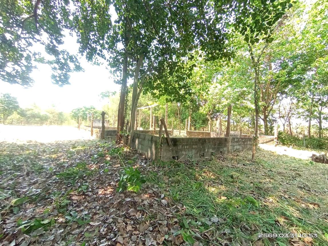 รูป บ้านเดี่ยว 1207 ตร.วา นามน กาฬสินธุ์ 2.4M - รูปที่ 26/31