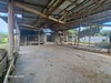 listing thumbnail image 24
