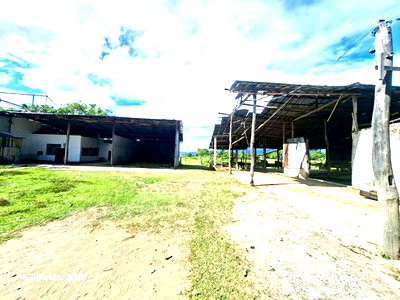 Factory for sale Chiang Kham Phayao : FACTORY 1176 Sq.w. Chiang Kham Phayao for 1.3M