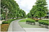 listing thumbnail image 26