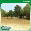 listing thumbnail image 28