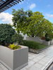 listing thumbnail image 10