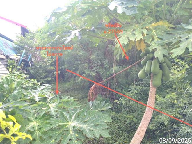 picture LAND 11758 Sq.w. Aranyaprathet Srakaeo for 74.1M - 9/21