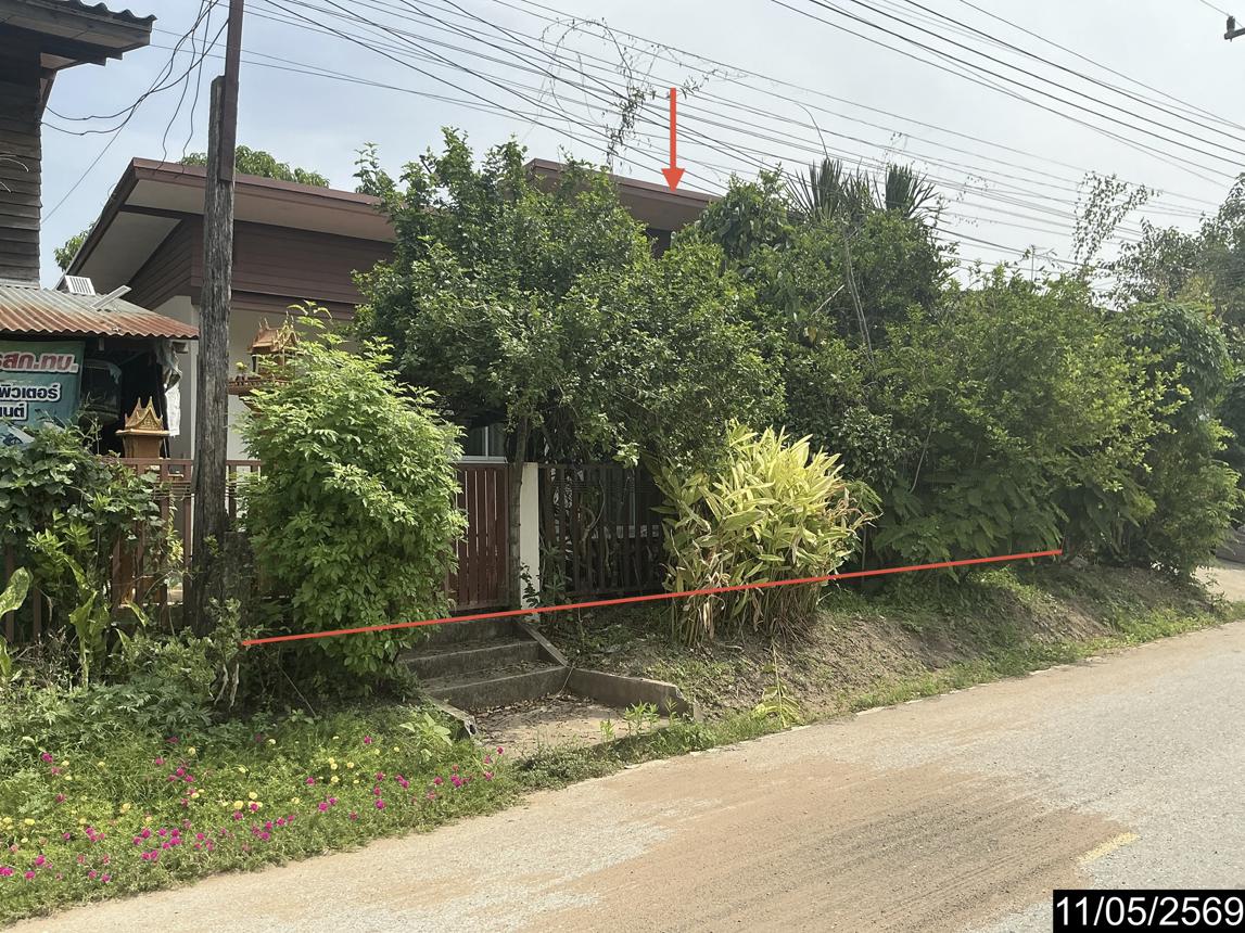 รูป บ้านเดี่ยว 48 ตร.วา พิมาย นครราชสีมา 1.1M - รูปที่ 14/19
