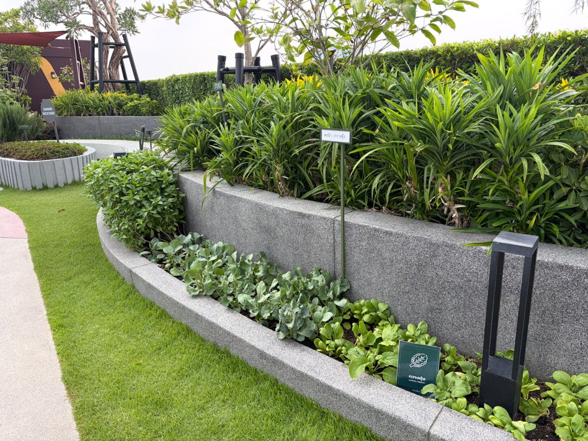 รูป ห้องเลี้ยงสัตว์ได้ The Muve Sukhumvit 107 - รูปที่ 13/20