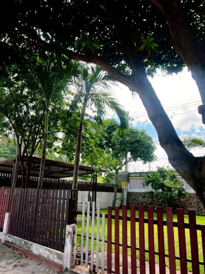 รูป บ้านเดี่ยวให้เช่า โซนเขาขยาย – บ่อวิน
หมู่บ้านมนตรา หลังใหญ่ พื้นที่เยอะที่สุดในหมู่บ้าน  - รูปที่ 4/11