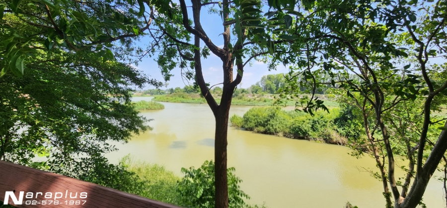รูป 69060428 : ขายบ้านสไตล์รีสอร์ท พร้อมที่ดินติดโค้งน้ำแม่กลอง เนื้อที่ 2 ไร่ 52.7 ตารางวา พร้อมที่งอกติดแม่น้ำเกือบ 1 ไร่ อ.ท่ามะกา กาญจนบุรี - รูปที่ 11/22