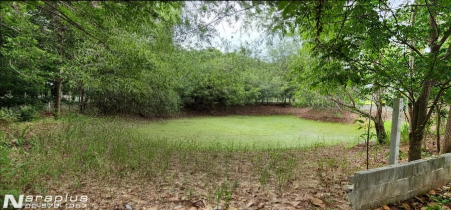 รูป 69080438 : ขายที่ดินแปลงสวย ติดทางหลวง 4 ช่องจราจร ถนนเจนจบทิศ เนื้อที่ 6 ไร่ 2งาน 45 ตารางวา ต.นางรำ อ.ประทาย นครราชสีมา กำไรตั้งแต่ซื้อ - รูปที่ 9/16
