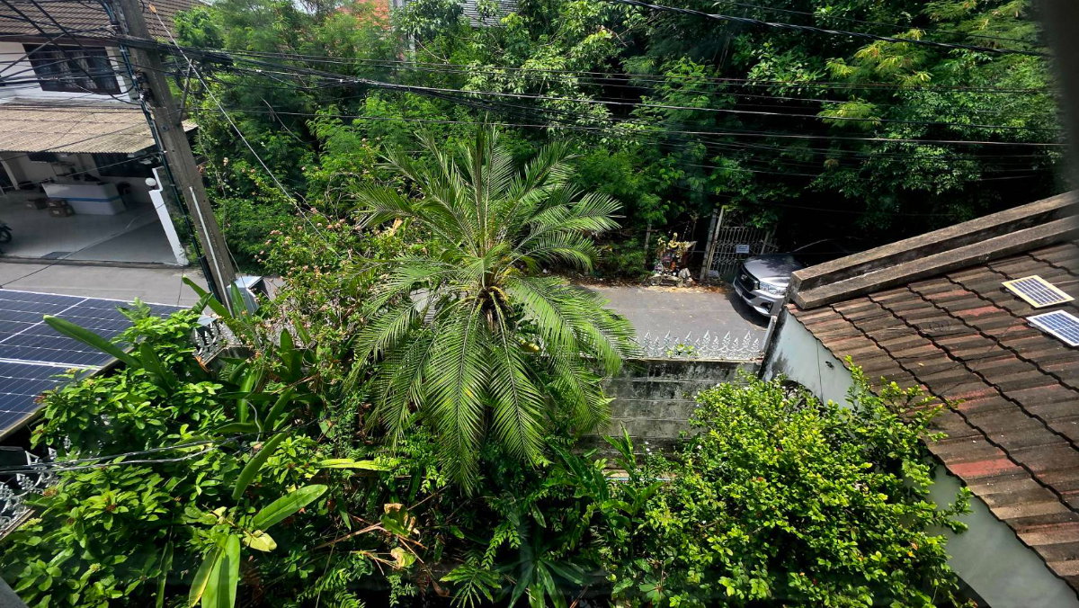 รูป ขายบ้านเอกมัย 22 ซอยเยาวราช สุขุมวิท ที่ดิน 42 ตร.ว สภาพแวดล้อมน่าอยู่ ทำเลดี ถนนกว้าง เข้าออกได้ทั้งฝั่งเอกมัย ปรีดีพนมยงค์ ใกล้ BTS พระโขนง ทองหล่อ - รูปที่ 8/12