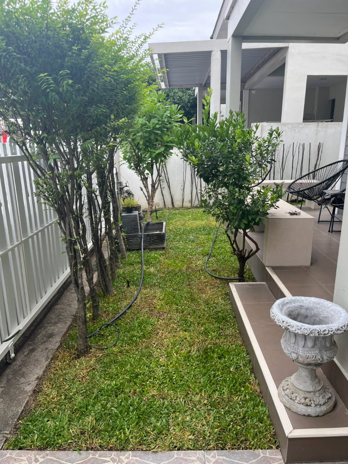 picture Must add Line only // 💞 Ready-to-move-in garden life - 26/27