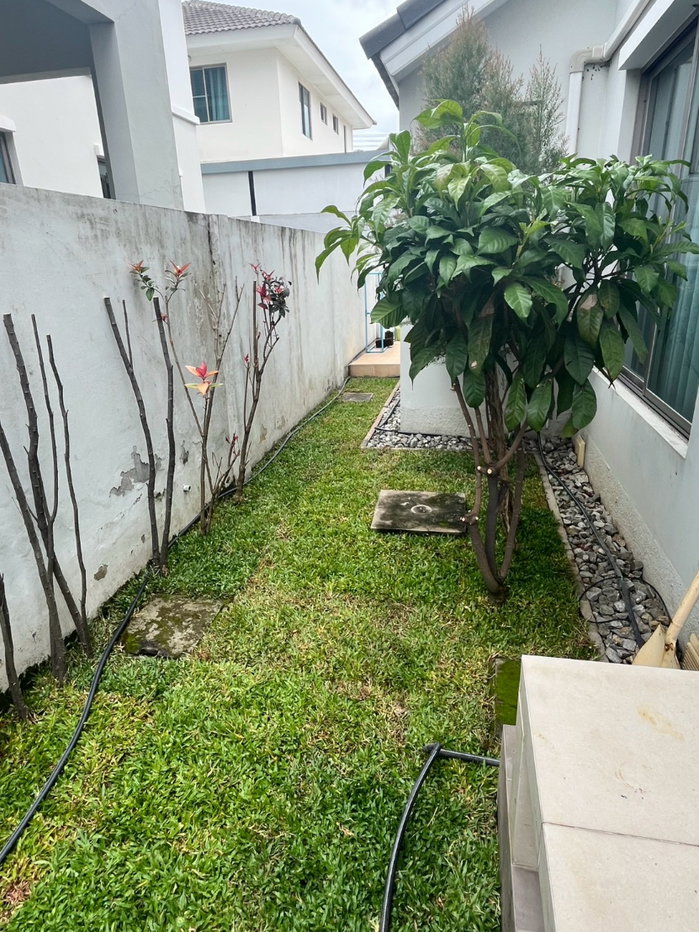 picture Must add Line only // 💞 Ready-to-move-in garden life - 21/27