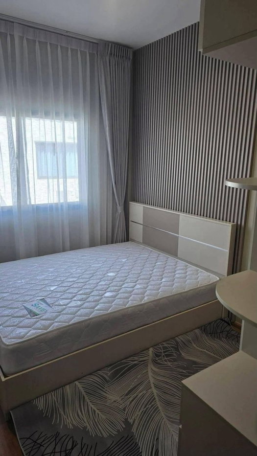 รูป ให้เช่า Pleno Sukhumvit–Bangna 4 (Pleno Mega Chic) บ้านใหม่ 155 ตร.ม. มี Working Space ใกล้ Mega Bangna เพียง 800 เมตร - รูปที่ 12/14