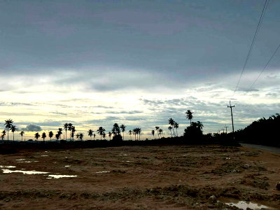 Land for sale Si Racha Chonburi : Prime location land in Bueng Subdistrict, Sriracha District  Large plot, near Pinthong Industrial Estate 4.