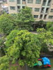 listing thumbnail image 6