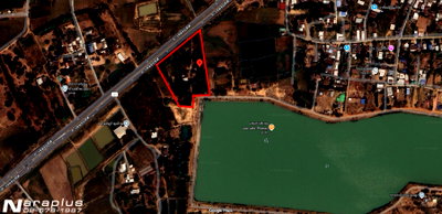 ขายที่ดิน : 69080438 : ขายที่ดินแปลงสวย ติดทางหลวง 4 ช่องจราจร ถนนเจนจบทิศ  เนื้อที่ 6 ไร่ 2งาน 45 ตารางวา ต.นางรำ อ.ประทาย นครราชสีมา กำไรตั้งแต่ซื้อ
