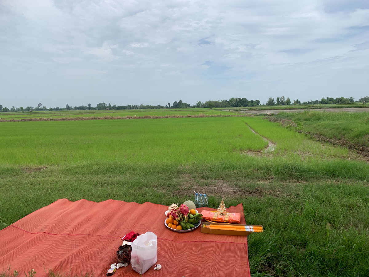 รูป ขายที่ดิน 11 ไร่ 3 งาน อ.บางกระทุ่ม จ.พิษณุโลก ทำเลดี บรรยากาศร่มรื่น เหมาะสำหรับการลงทุน - รูปที่ 2/4
