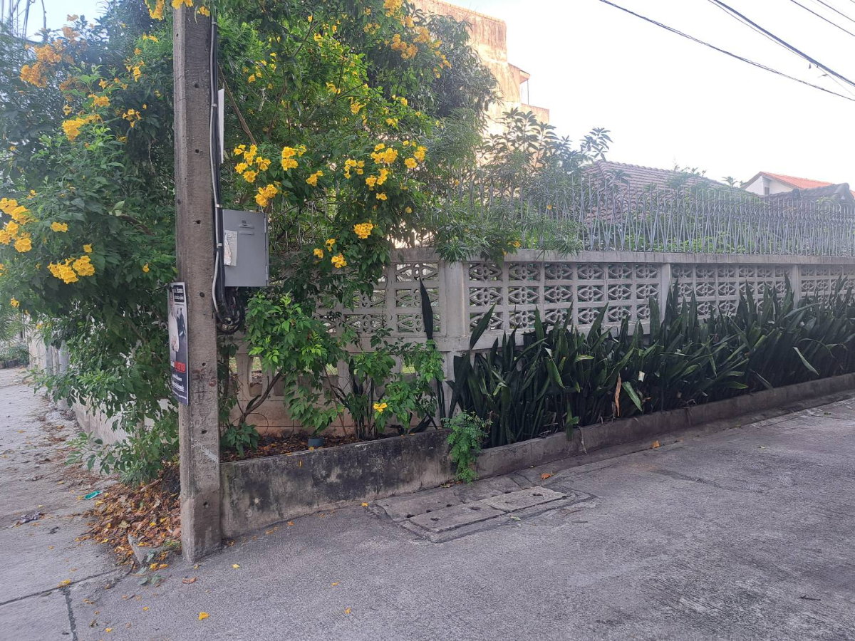 picture [Owner Sells] Rare 100 Sq.W. Corner Square Plot - Ramintra 65(Soi Thanommit). Near MRT & Expressway. Great Potential for Home Office or Premium House! - 4/6